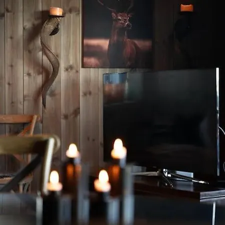 Apartment Hogebu - Moderne Leilighet, Ski In/skiout *
