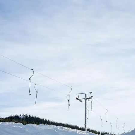 Hogebu - Moderne Leilighet, Ski In/skiout * Nesbyen