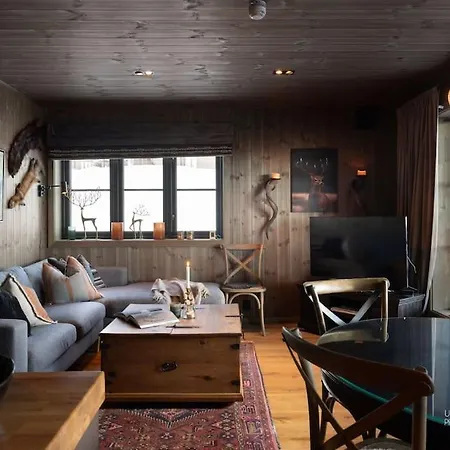 Hogebu - Moderne Leilighet, Ski In/skiout 公寓
